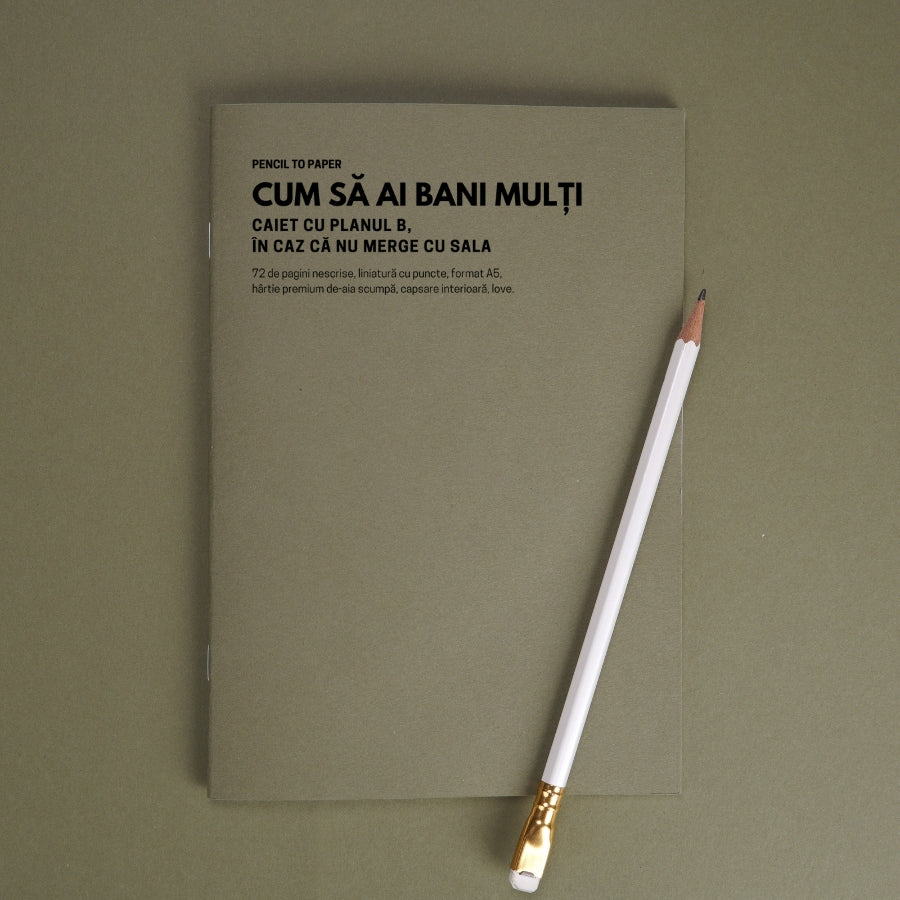 Cum sa ai bani multi. Caiet cu planul B, in caz ca nu merge cu sala