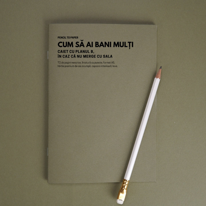 Cum sa ai bani multi. Caiet cu planul B, in caz ca nu merge cu sala