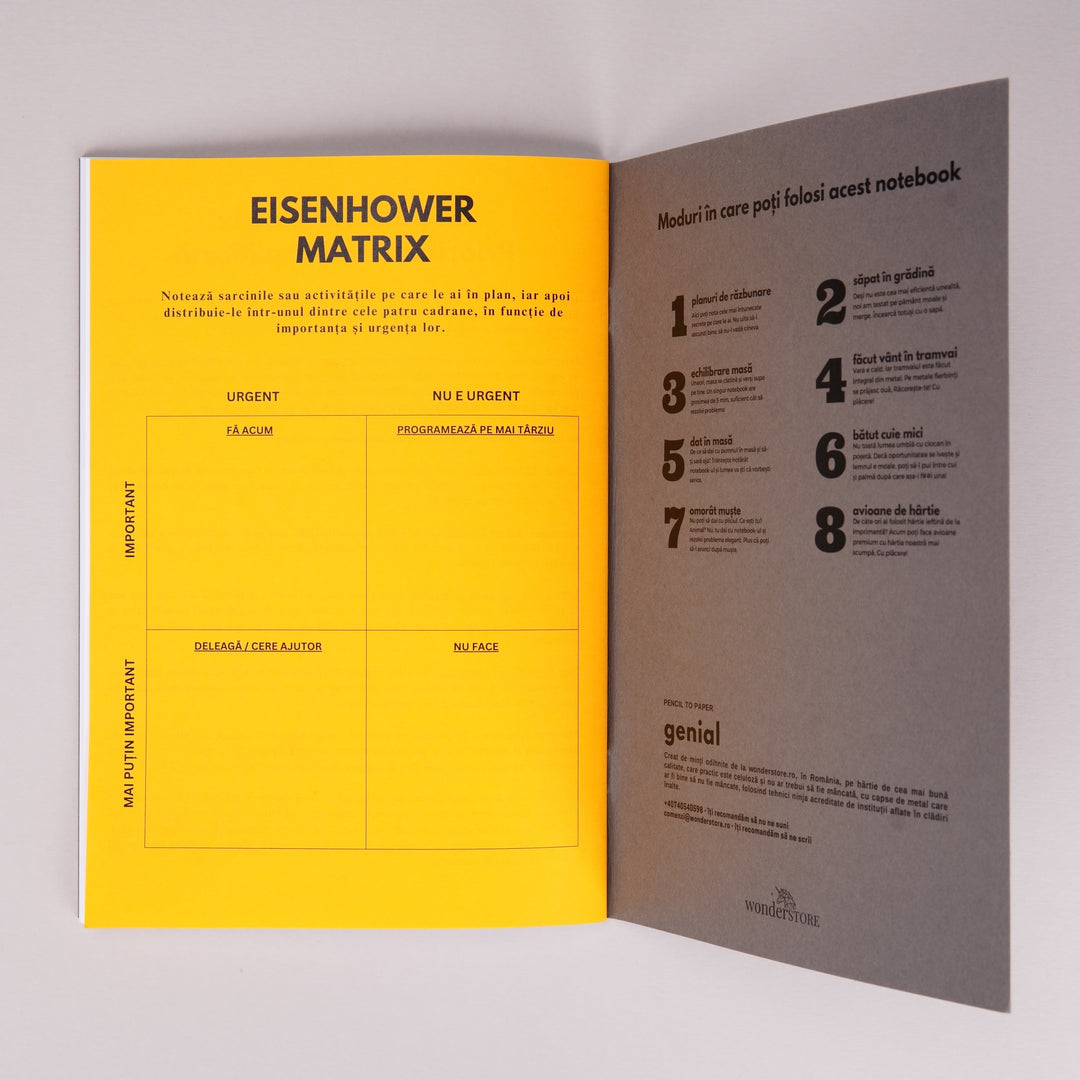 Detaliu interior Caiete Geniale - Matricea lui Eisenhower