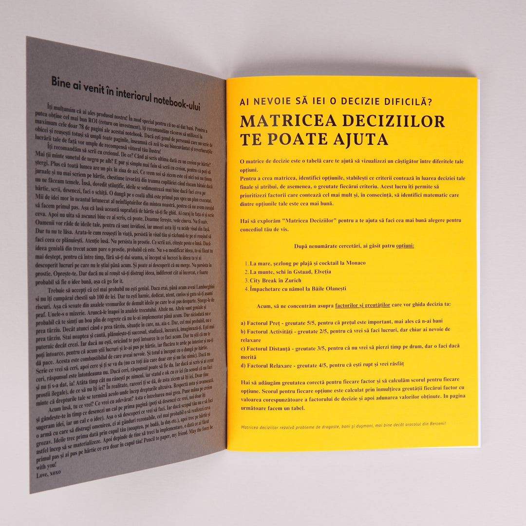 Foto detaliu interior Caiete Geniale - Matricea deciziilor