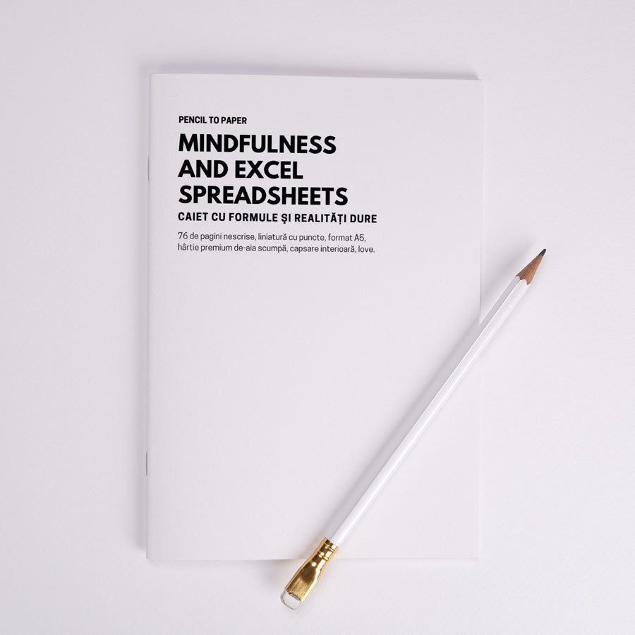 Mindfulness and excel spreadsheets. Caiet cu formule si realitati dure