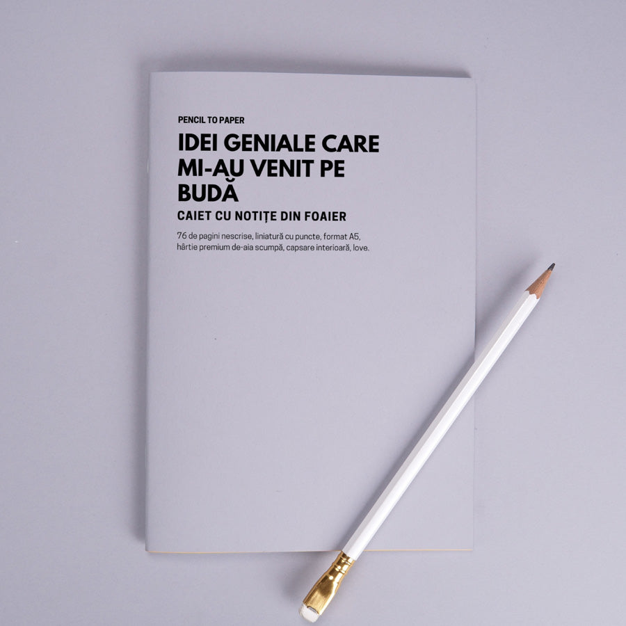 Idei geniale care mi-au venit pe buda. Caiet cu notite din foaier