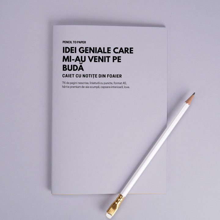 Idei geniale care mi-au venit pe buda. Caiet cu notite din foaier