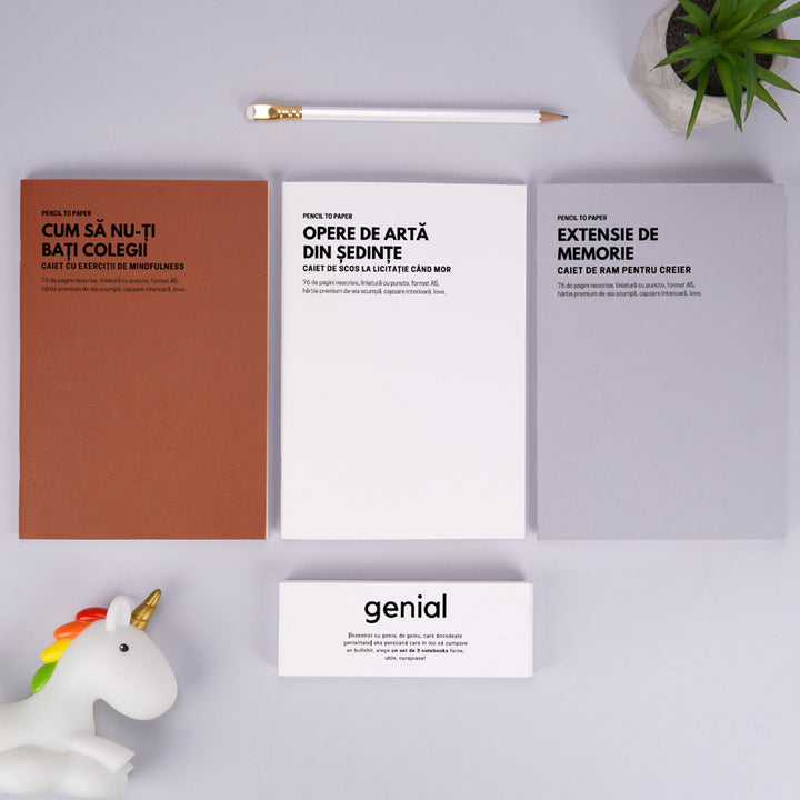 Prezentare produse - Cadou amuzant pentru colegi - Set de 3 caiete geniale - Instrumente de defulare la birou