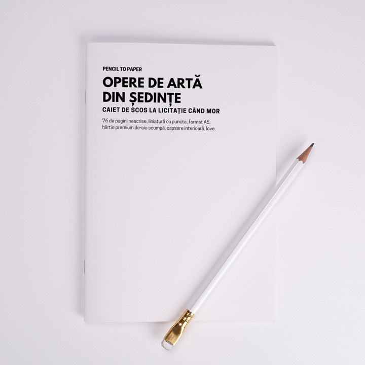 Opere de arta din sedinte. Caiet de scos la licitatie cand mor