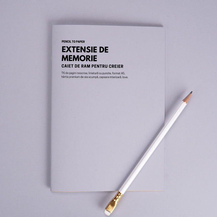 Extensie de memorie. Caiet de RAM pentru creier