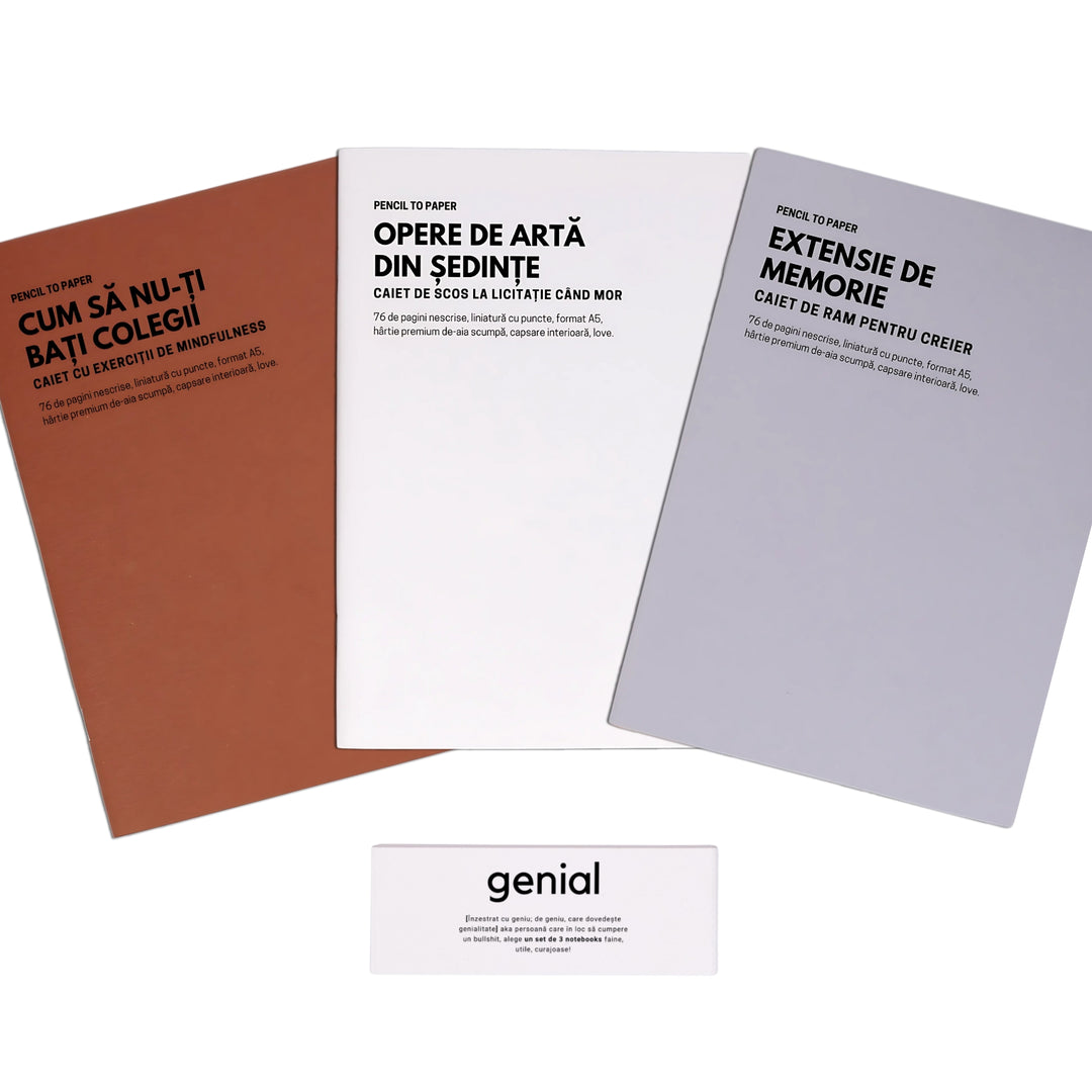 Cadou amuzant pentru colegi - Set de 3 caiete geniale - Instrumente de defulare la birou