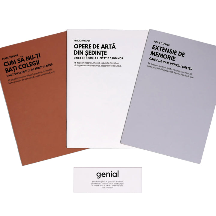 Cadou amuzant pentru colegi - Set de 3 caiete geniale - Instrumente de defulare la birou