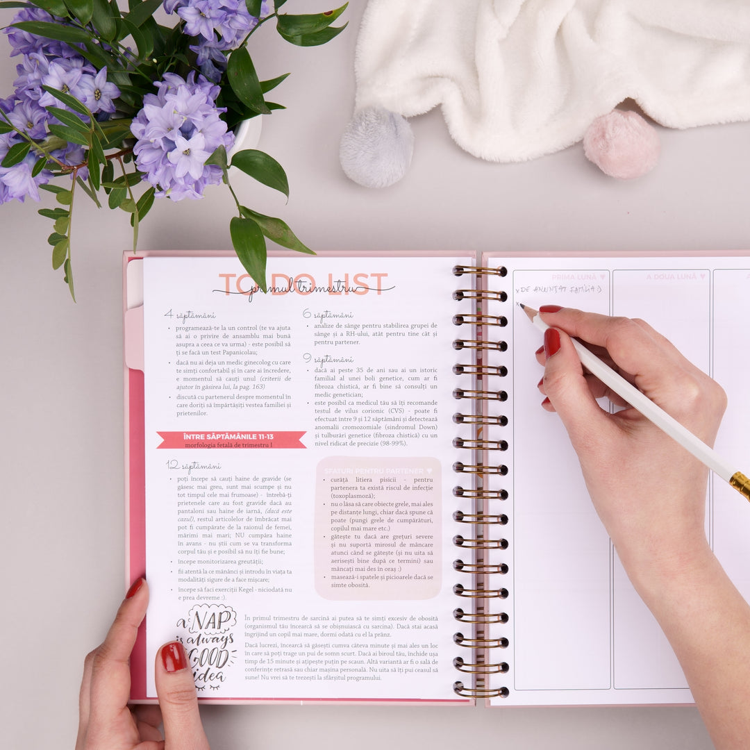 De facut cand esti insarcinata - Agenda de sarcina Plan the Joy - Planner pentru viitoarele mamici - wonderstore