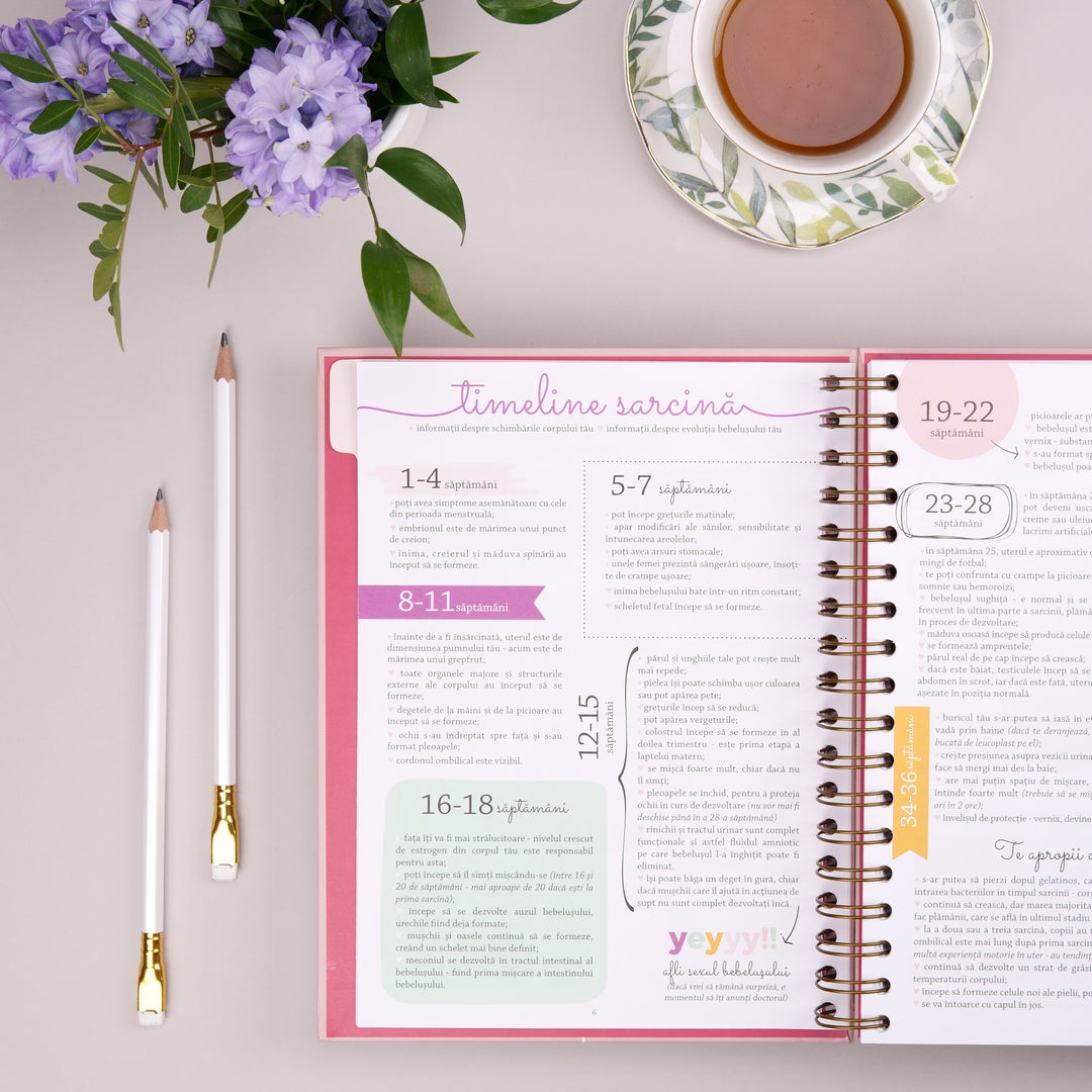 Timeline de sarcina - Agenda de sarcina Plan the Joy - Planner pentru viitoarele mamici - wonderstore
