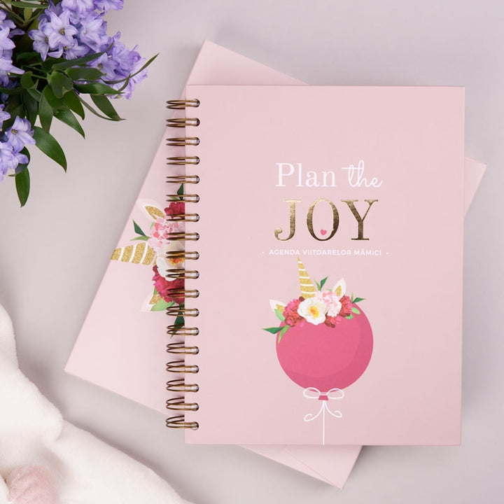 Ghidul complet pentru sarcina, nastere si primii pasi cu bebe - Agenda Plan the Joy - carte si jurnal pentru gravide si nou-nascuti