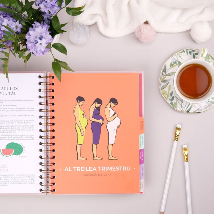 Agenda de sarcina_jurnal gravida_Plan the Joy_Lady Cozac21