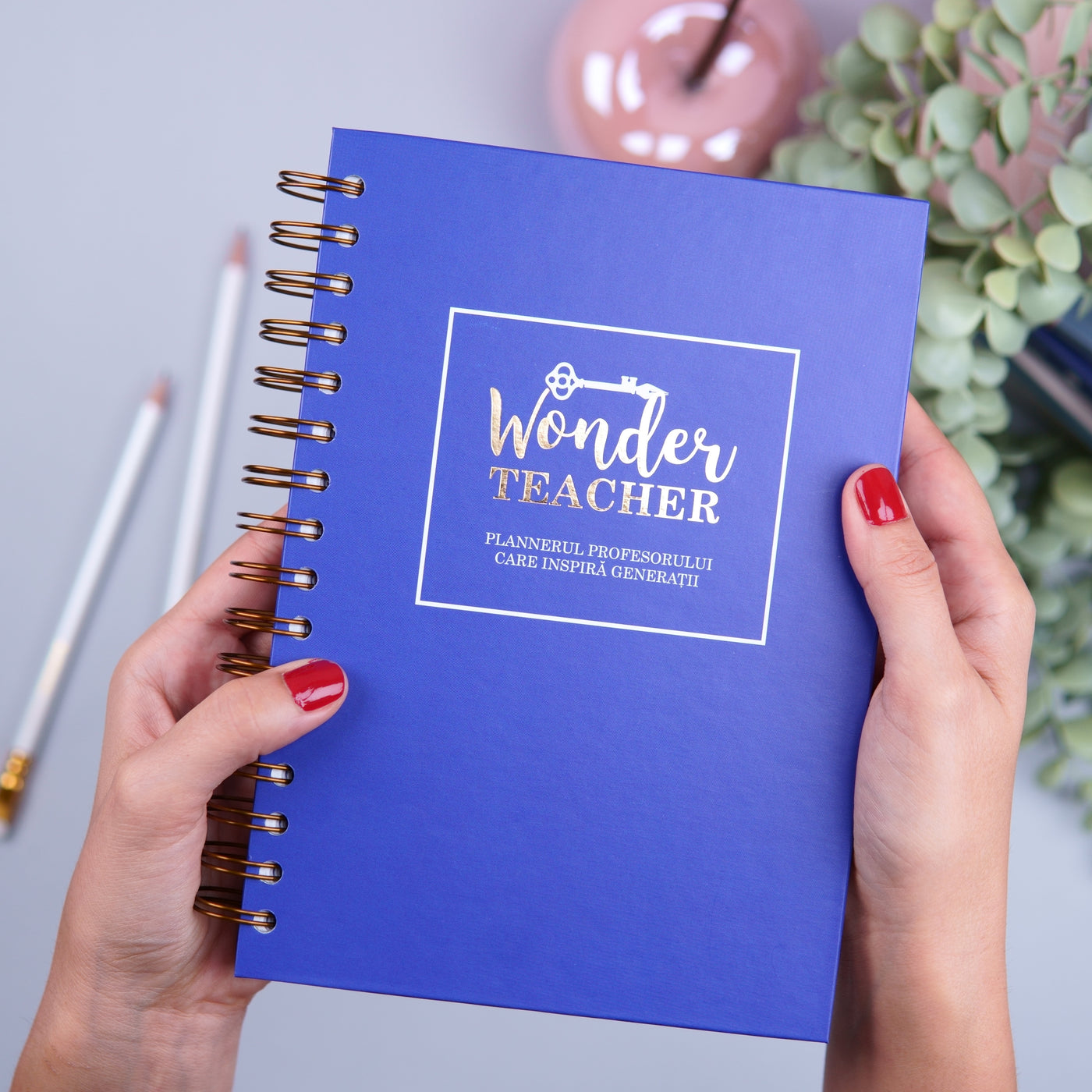 Agenda profesorului care inspira generatii - The Wonder Teacher - cadou pentru profesori