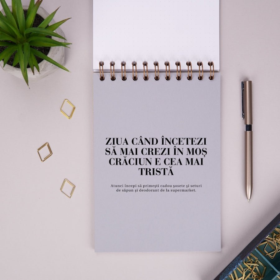 Notebook cadou amuzant de sarbatori - Liste de Craciun - despartitor 1