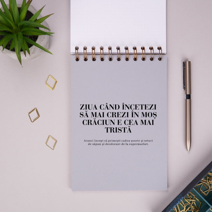 Notebook cadou amuzant de sarbatori - Liste de Craciun - despartitor 1