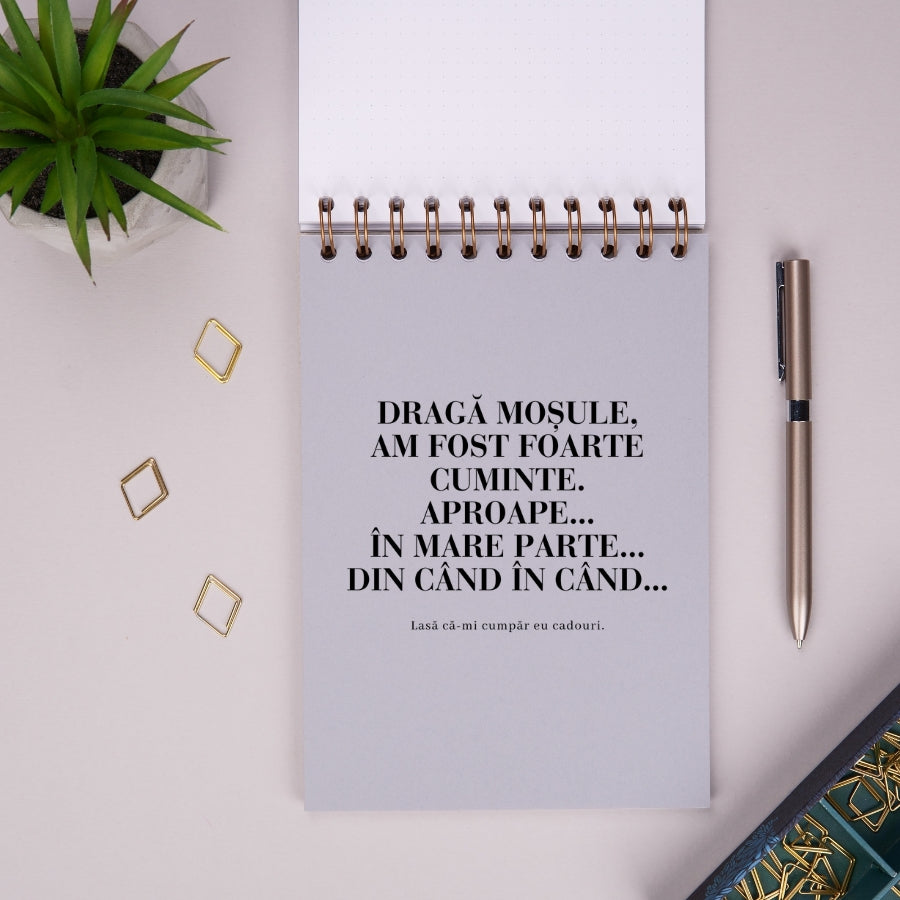Notebook cadou amuzant de sarbatori - Liste de Craciun - despartitor 2