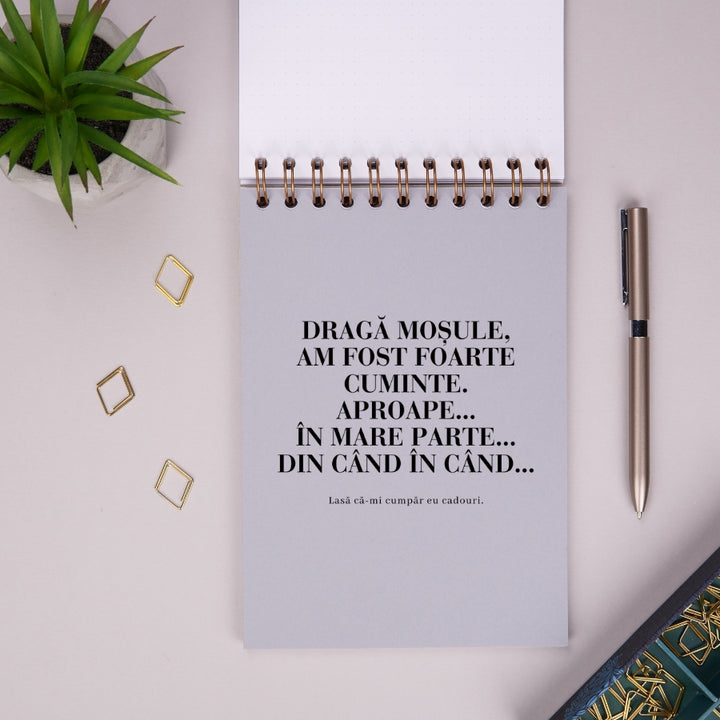 Notebook cadou amuzant de sarbatori - Liste de Craciun - despartitor 2
