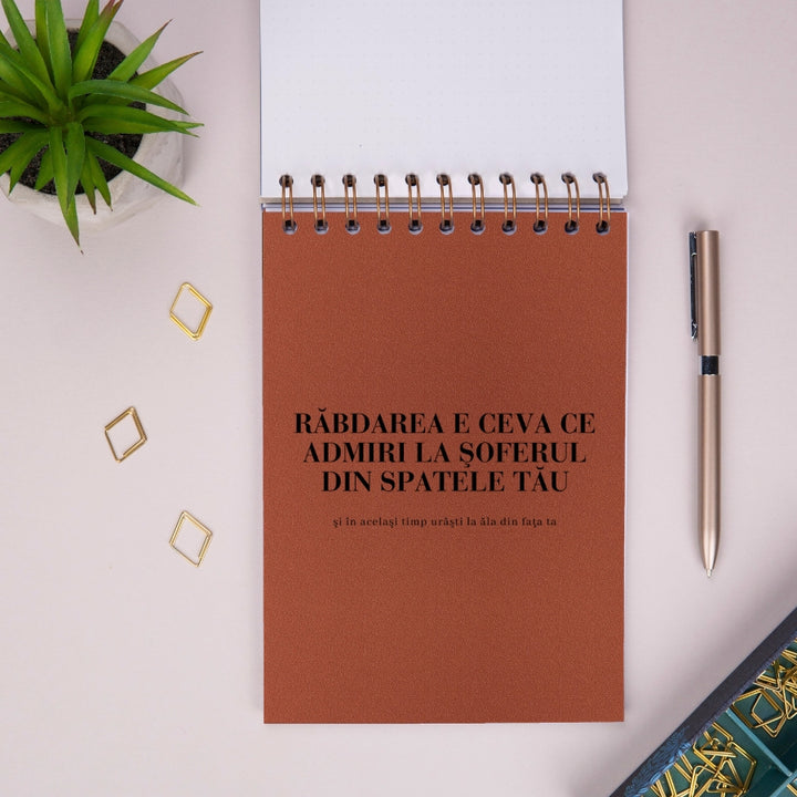 Notebook cadou amuzant pentru barbati - Meditatii din trafic - despartitor 1