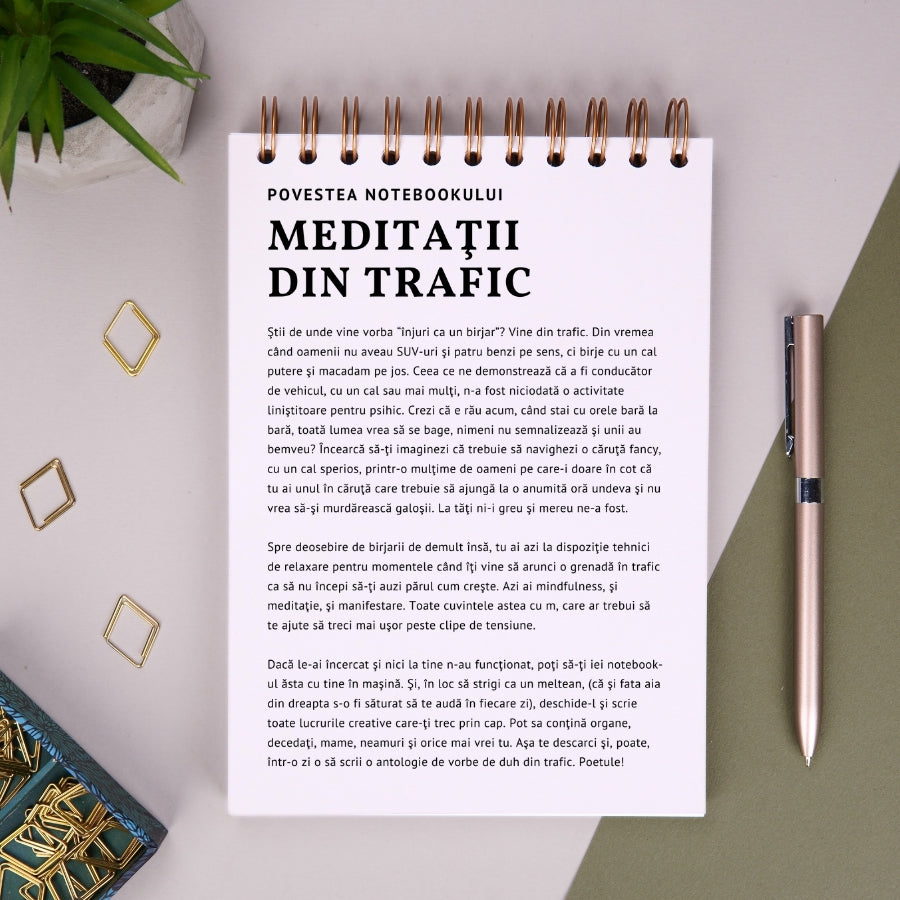 Notebook cadou amuzant pentru barbati - Meditatii din trafic - povestea notebookului
