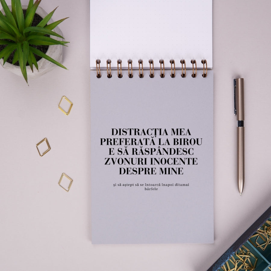 Notebook cadou amuzant pentru colegi - Discutii importante  - despartitor 1
