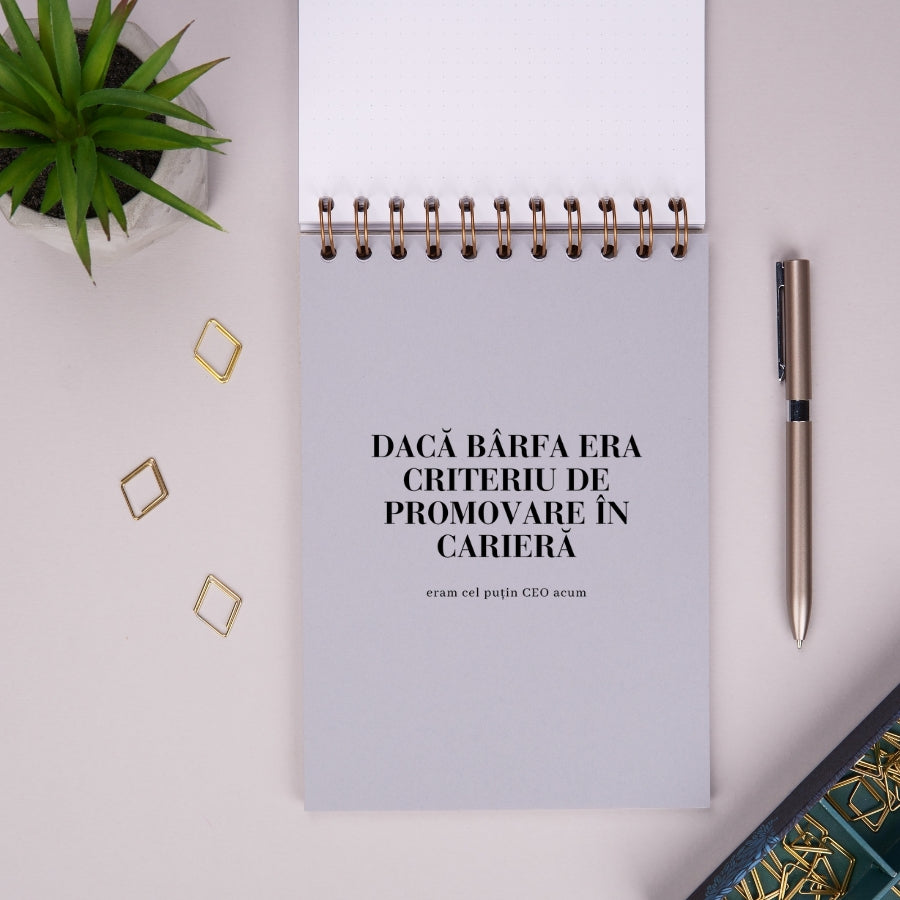 Notebook cadou amuzant pentru colegi - Discutii importante  - despartitor 3