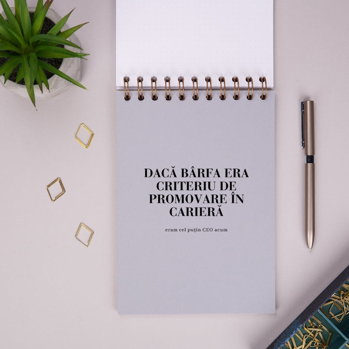 Notebook cadou amuzant pentru colegi - Discutii importante  - despartitor 3