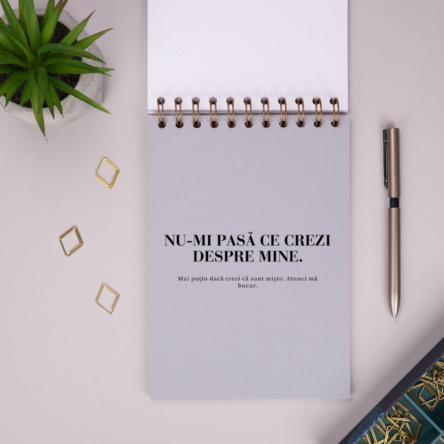 Notebook cadou amuzant pentru colegi si prieteni - Dureri in dos - despartitor 1
