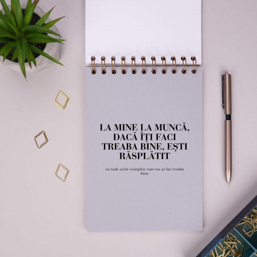 Notebook cadou amuzant pentru colegii de birou - Ganduri bune - despartitor 3