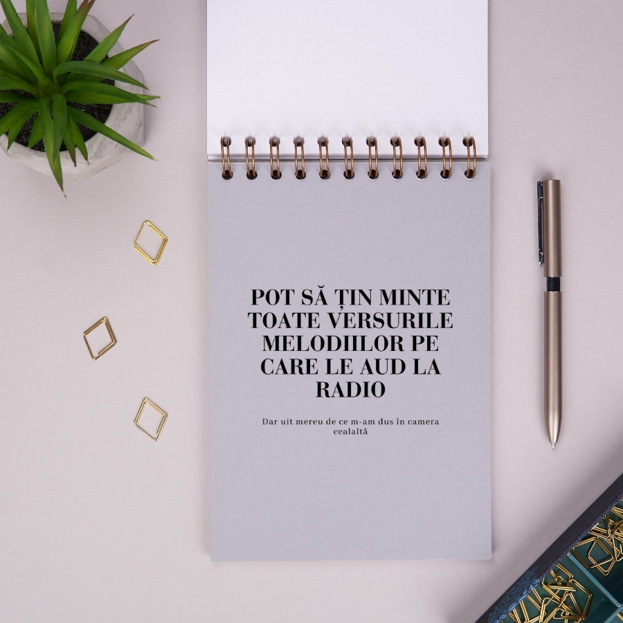 Notebook cadou amuzant pentru prieteni - Jurnal Cacaturi - despartitor 2 interior