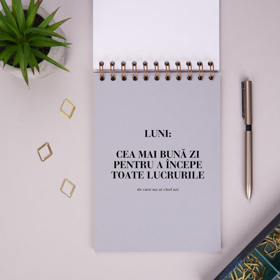 Notebook cadou pentru colegi - Jurnal Chestii de facut de luni - despartitor interior 2