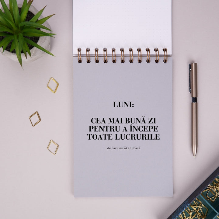 Notebook cadou pentru colegi - Jurnal Chestii de facut de luni - despartitor interior 2