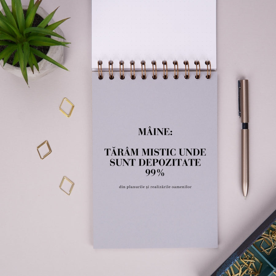 Notebook cadou pentru colegi - Jurnal Chestii de facut de luni - despartitor interior 3