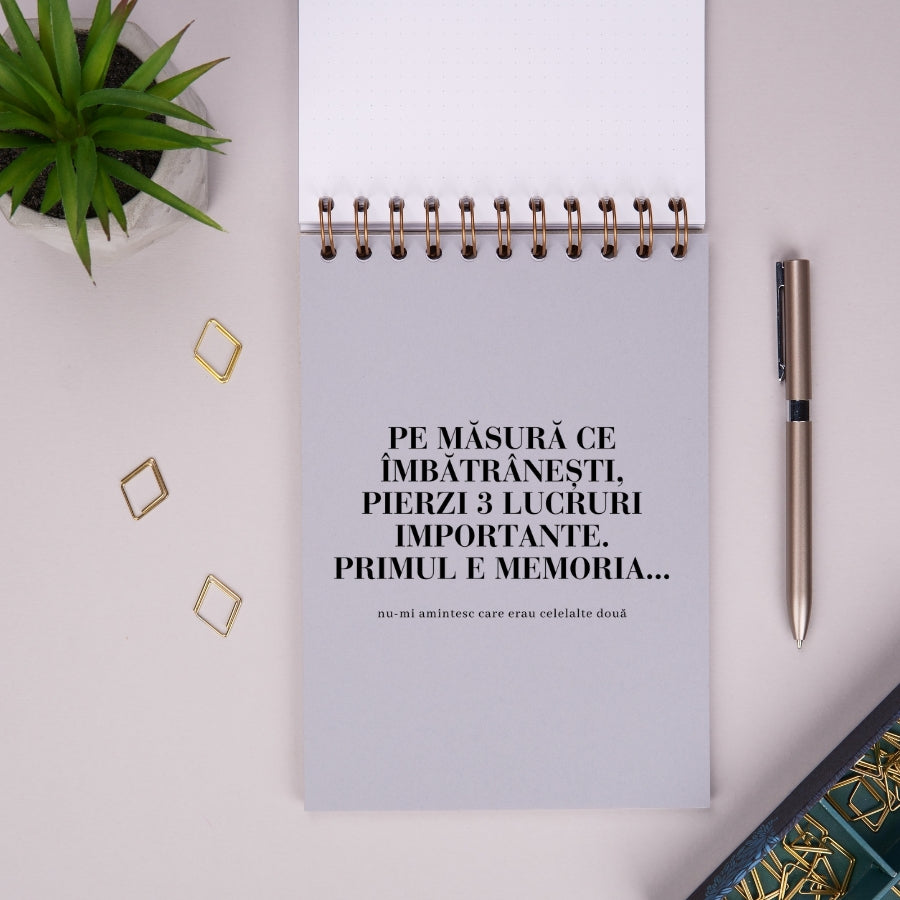 Notebook cadou pentru femei - Jurnal Chestii importante - despartitor 1