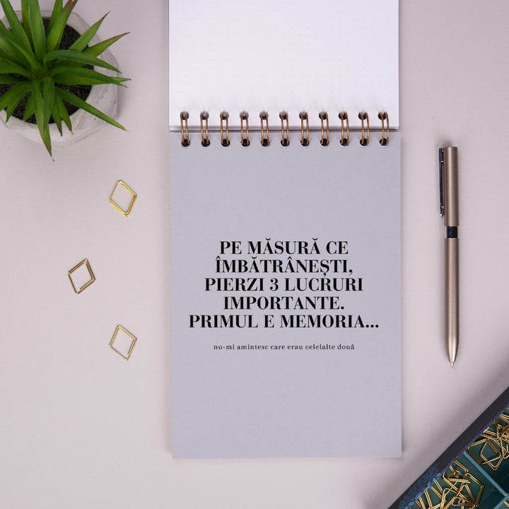 Notebook cadou pentru femei - Jurnal Chestii importante - despartitor 1