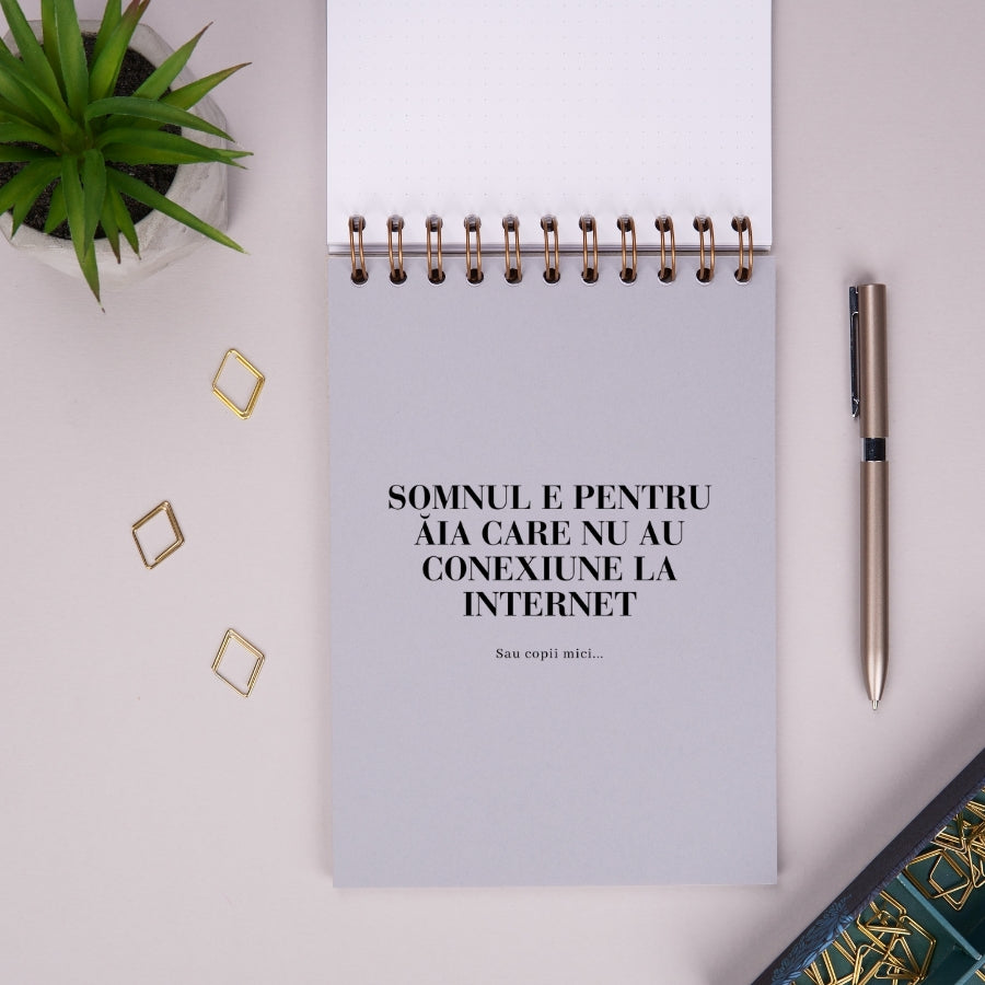 Notebook cadou pentru prieteni - Jurnal Idei adormite - despartitor interior 3