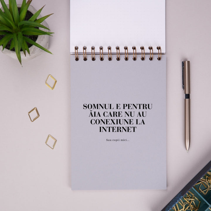 Notebook cadou pentru prieteni - Jurnal Idei adormite - despartitor interior 3