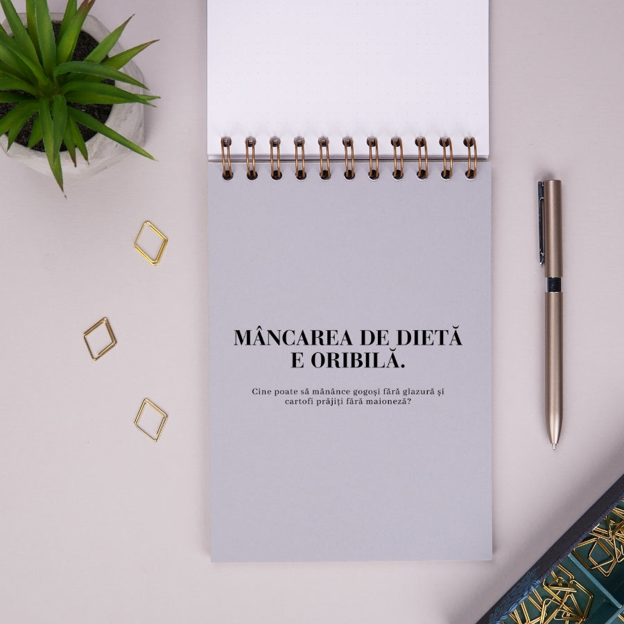 Notebook cadou pentru prieteni - Planuri utopice - despartitor 1
