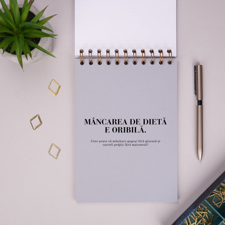 Notebook cadou pentru prieteni - Planuri utopice - despartitor 1