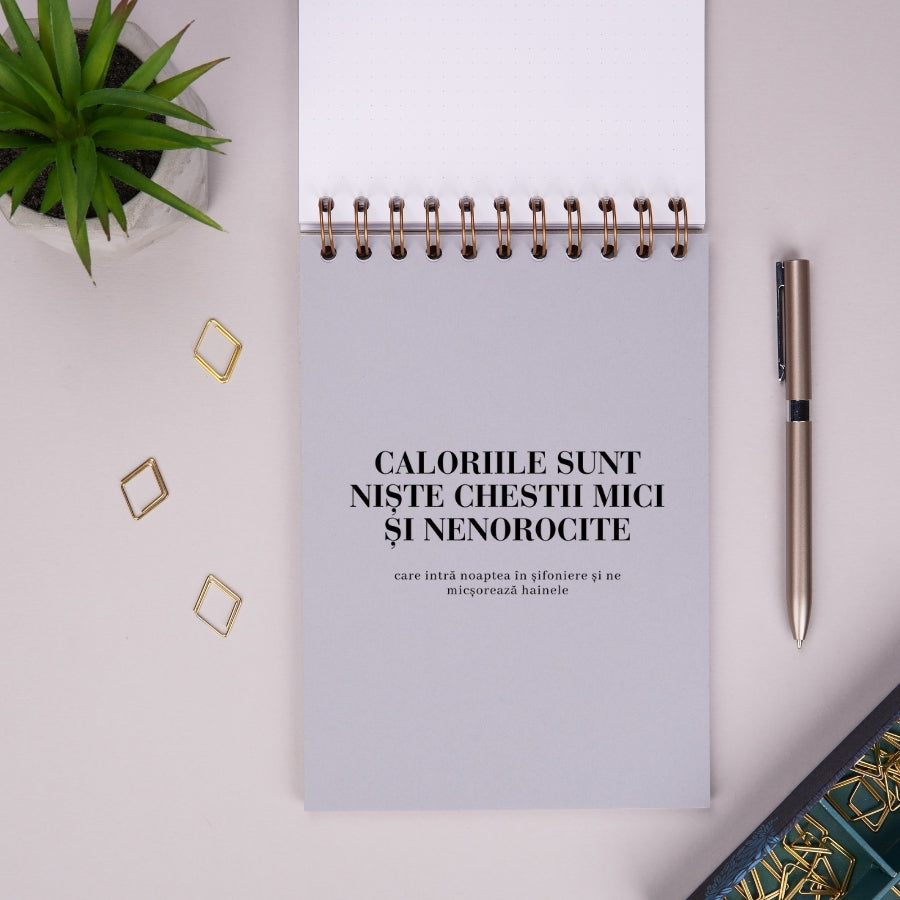 Notebook cadou pentru prieteni - Planuri utopice - despartitor 2
