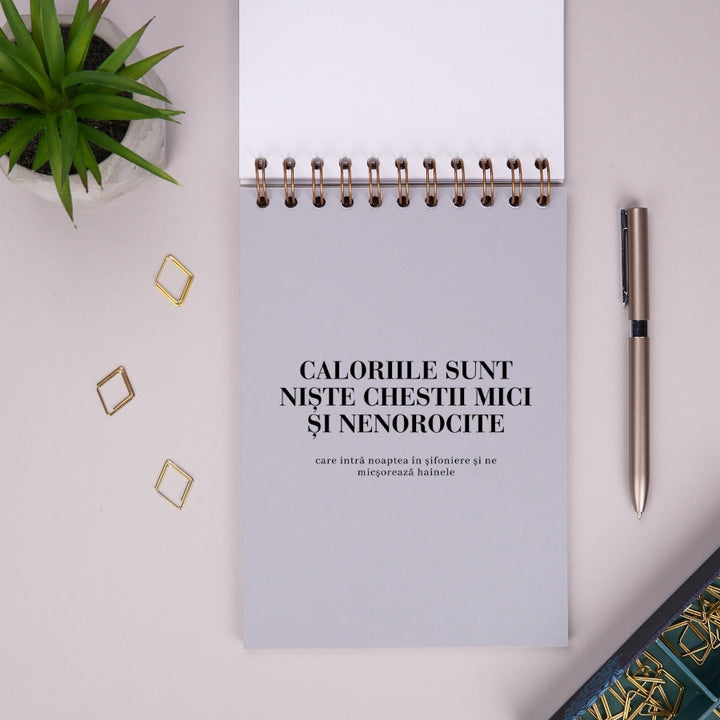Notebook cadou pentru prieteni - Planuri utopice - despartitor 2