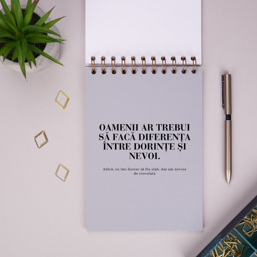 Notebook cadou pentru prieteni - Planuri utopice - despartitor 3