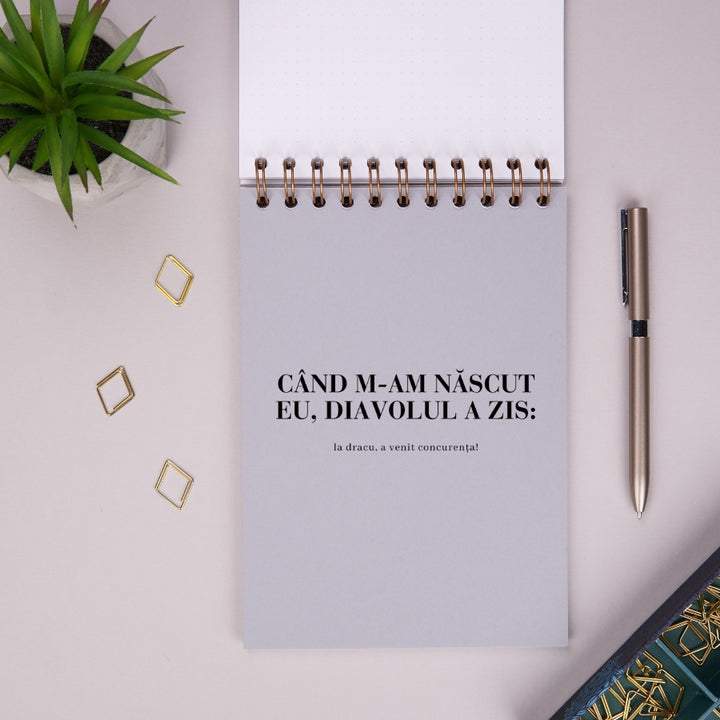Notebook si caiet de schite pentru femei - Desene cu unicorni si planuri de razbunare - despartitor interior 2