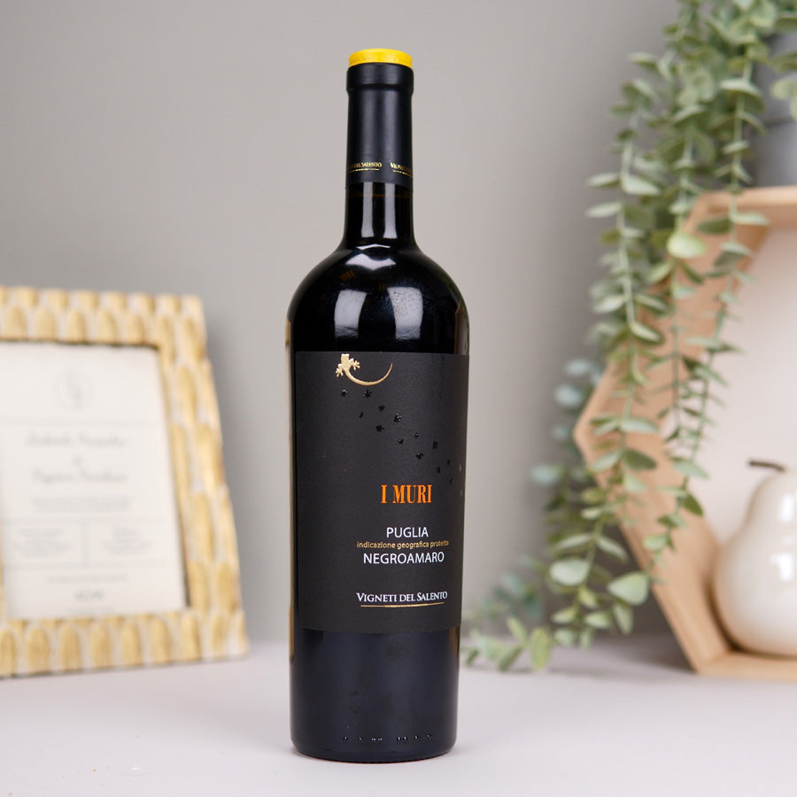 VIGNETI DEL SALENTO I MURI NEGROAMARO IGP