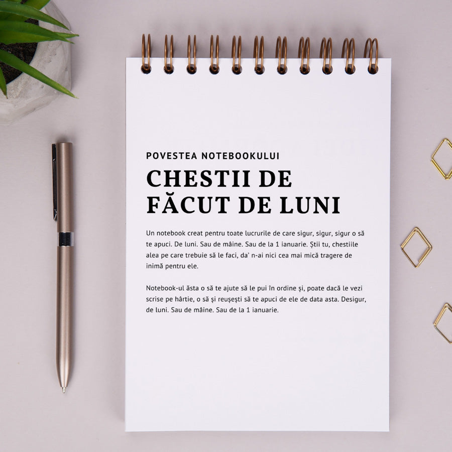Notebook cadou pentru colegi - Jurnal Chestii de facut de luni - povestea notebook-ului