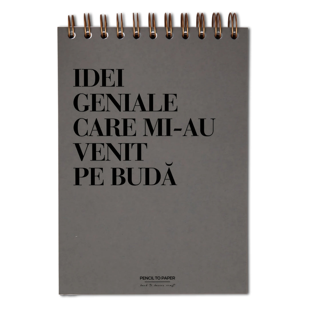 Notebook cadou amuzant pentru prieteni - Idei de pe buda