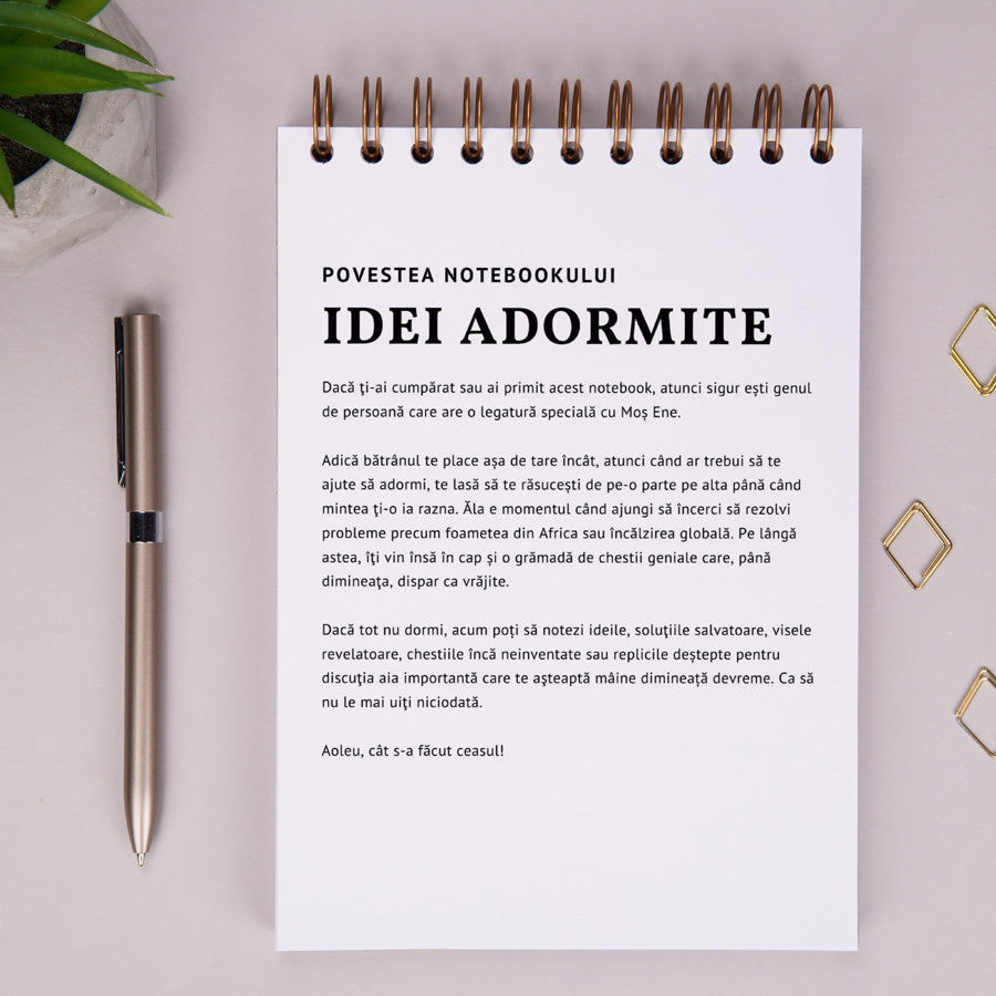 Notebook cadou pentru prieteni - Jurnal Idei adormite - povestea notebook-ului