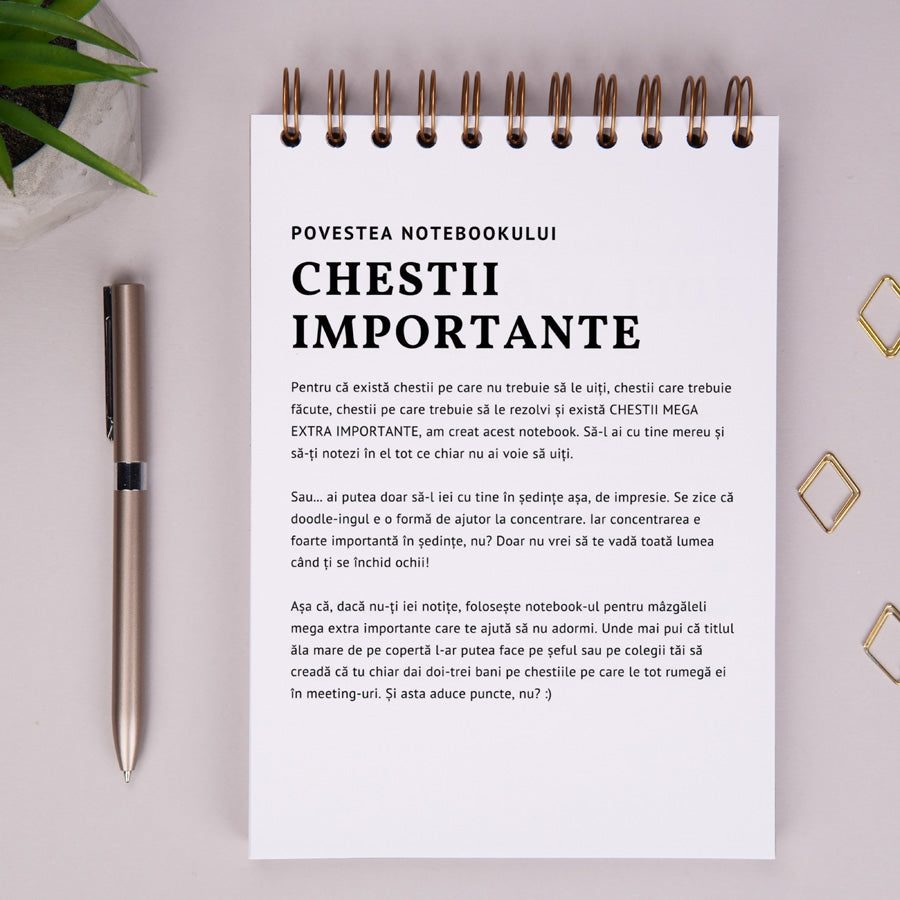 Notebook cadou pentru femei - Jurnal Chestii importante - povestea notebook-ului