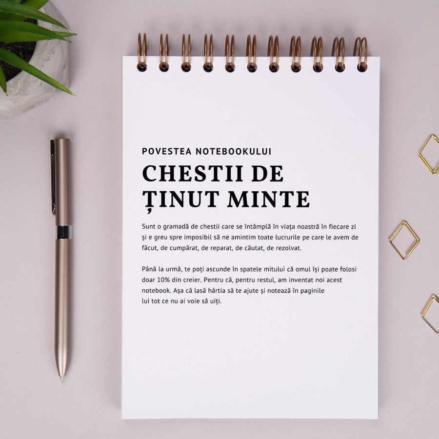 Notebook cadou pentru prieteni - Jurnal Chestii de tinut minte - povestea notebook-ului
