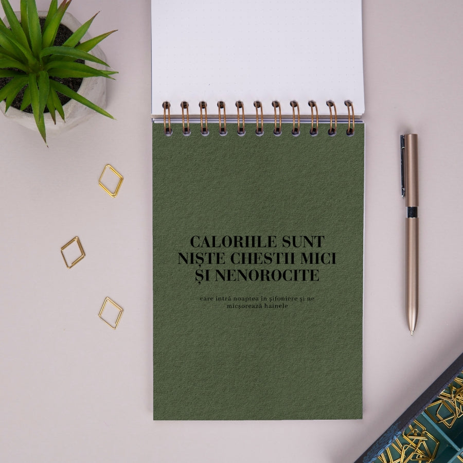 Notebook cadou pentru prieteni - Planuri utopice - primul despartitor