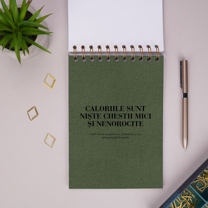 Notebook cadou pentru prieteni - Planuri utopice - primul despartitor